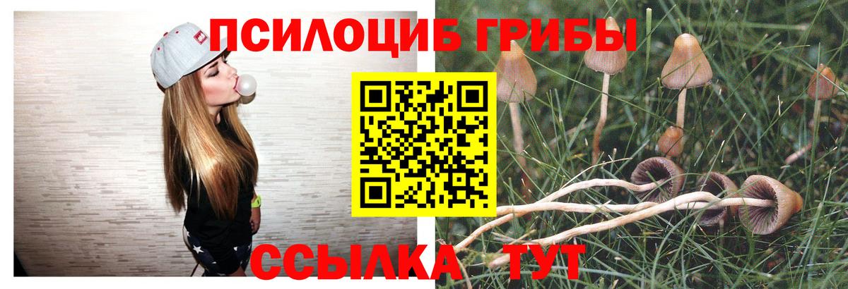 Нижнекамск  Псилоцибиновые грибы Cubensis  Вход с VPN 